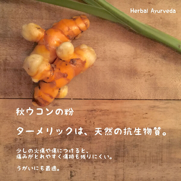 アーユルヴェーダの知恵コラム| Herbal Ayurveda（ハーバルアーユルヴェーダ）