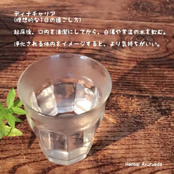 アーユルヴェーダの知恵コラム| Herbal Ayurveda（ハーバルアーユルヴェーダ）