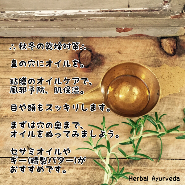 アーユルヴェーダの知恵コラム| Herbal Ayurveda（ハーバルアーユルヴェーダ）