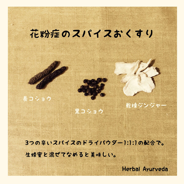 アーユルヴェーダの知恵コラム| Herbal Ayurveda（ハーバルアーユルヴェーダ）